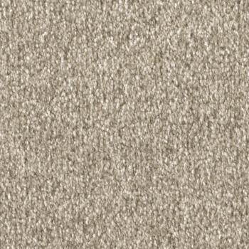 Draufsicht auf Vorwerk Celina 8L49 strand Teppichboden mit Preisschild 79,95 €/m²